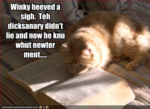 funny cats pictures with words. words you#39;ll never use.